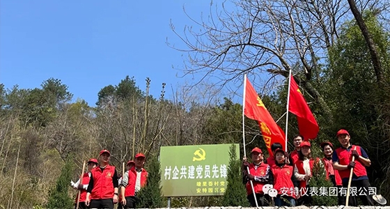 党建强引领，共植先锋林